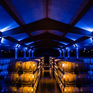 Barriques de vin du médoc entreposées dans le chai