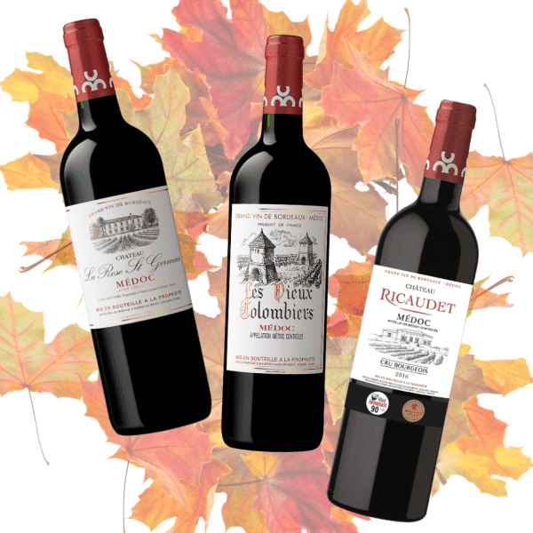 OFFRES AUTOMNALES - LOT N°1 à 249,60 € !!
