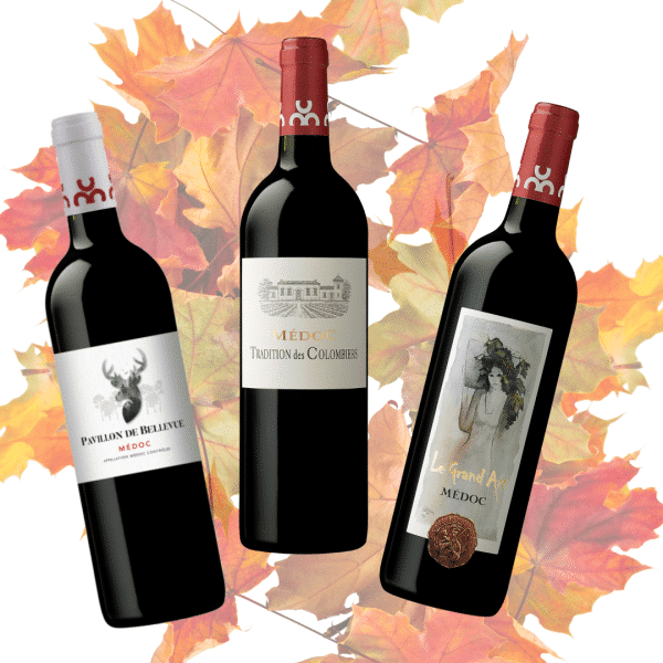 OFFRES AUTOMNALES - LOT N°2 à 316,80 € !!